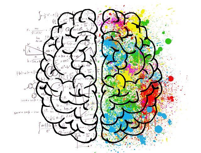 Brain Mind Psychology Idea Drawing  - ElisaRiva / Pixabay