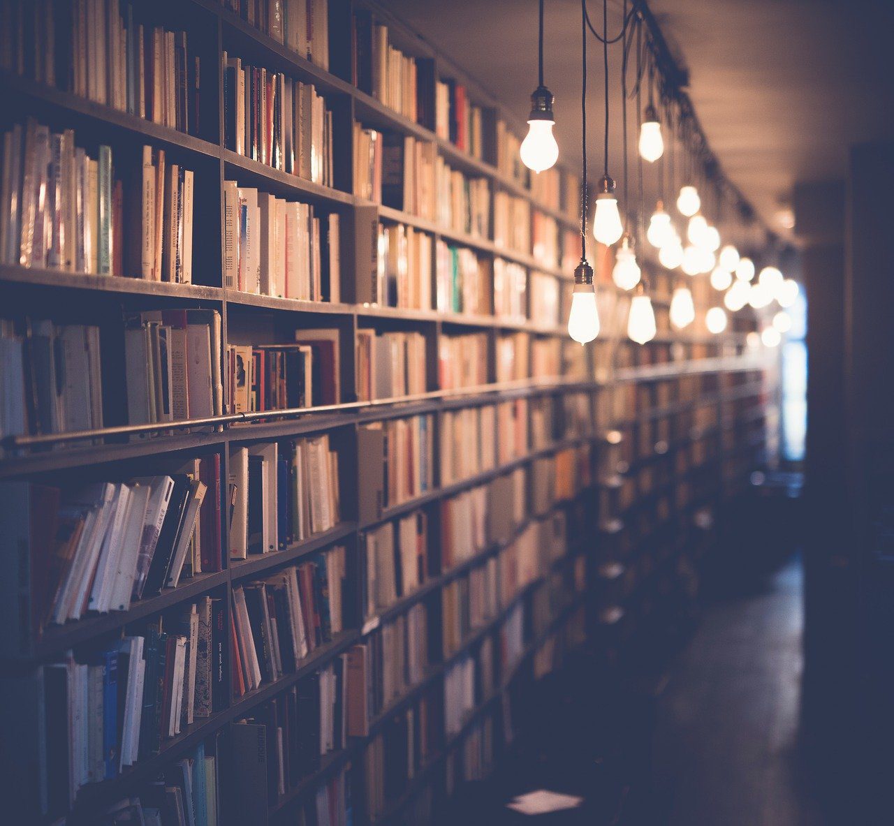 Books Library Room School Study  - StockSnap / Pixabay