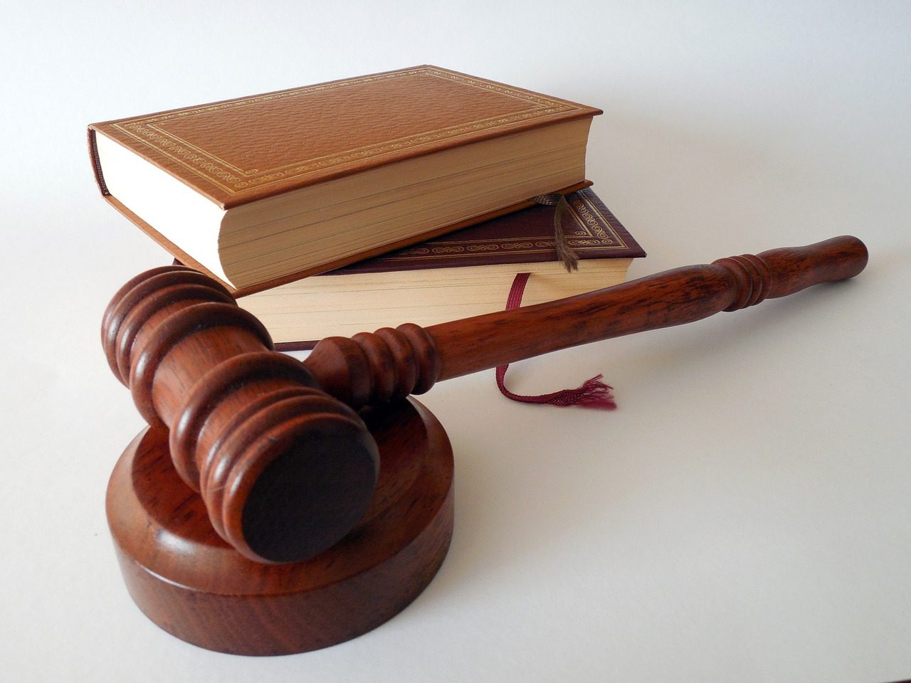 Hammer Books Law Dish Lawyer  - succo / Pixabay