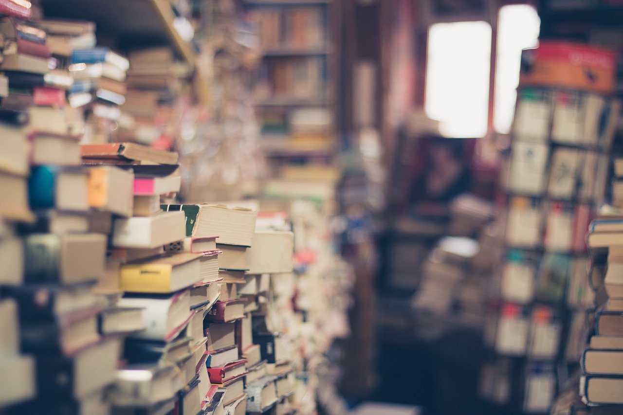 Books Stack Book Store  - EliFrancis / Pixabay